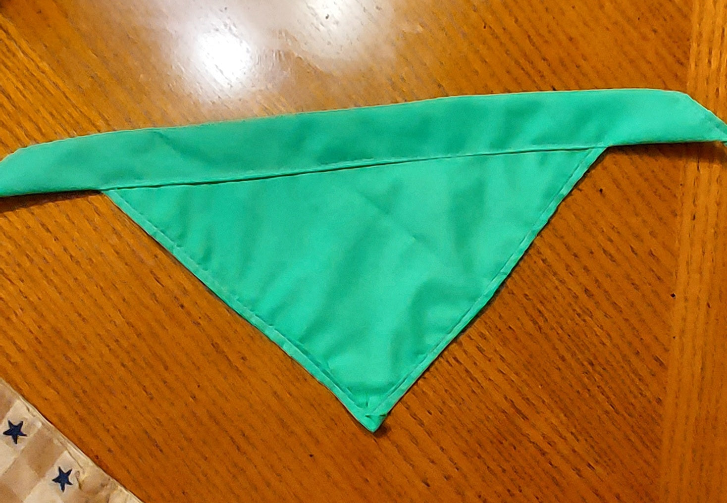 Over The Collar Dog Bandana - Green